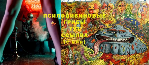 МДПВ Алексеевка