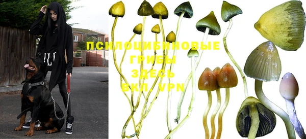 меф VHQ Алзамай