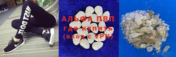 PSILOCYBIN Инта
